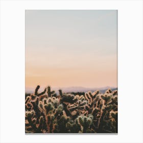 Cactus Sunset View Canvas Print