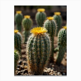 Cactus Flower 3 Canvas Print