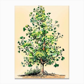 Ginkgo Tree Storybook Illustration 1 Canvas Print