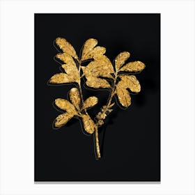 Vintage Northern Bayberry Botanical in Gold on Black n.0543 Canvas Print