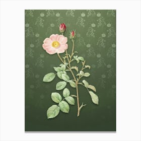 Vintage Sparkling Rose Botanical on Lunar Green Pattern n.1783 Canvas Print