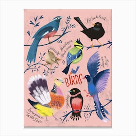 Chart Of Birds Canvas Print