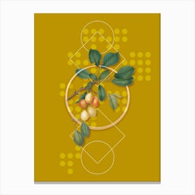 Vintage Cherry Botanical with Geometric Line Motif and Dot Pattern n.0077 Canvas Print