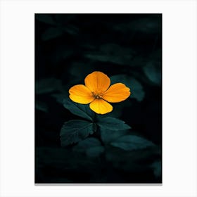 Single Yellow Flower 38 Canvas Print