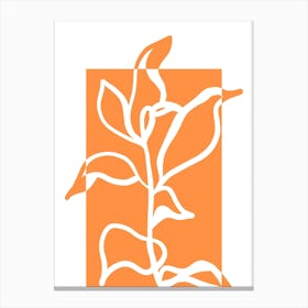 Plant White Space Canvas Print