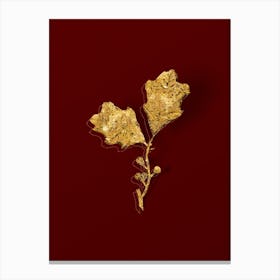 Vintage Bear Oak Leaves Botanical in Gold on Red n.0021 Canvas Print