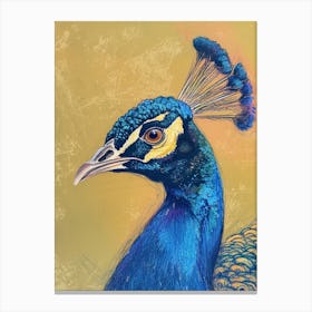 Peacock Portrait Sketch 2 Canvas Print