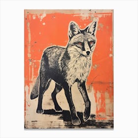 Gray Fox, Woodblock Animal Drawing 1 Canvas Print