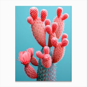 pink Cactus Flower Canvas Print