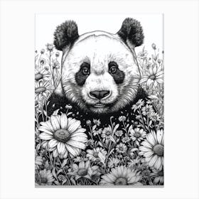 Giant Panda Cub Ink Illustration A Field Of Flowers Ink Illustration 4 Canvas Print