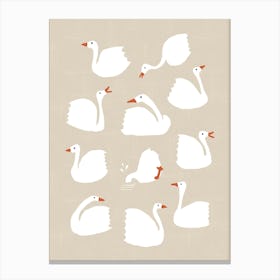 White Geese Canvas Print