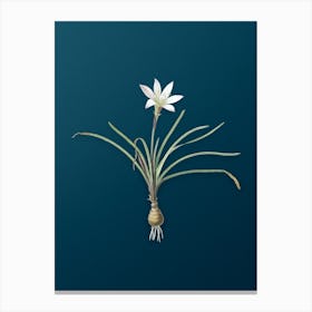 Vintage Rain Lily Botanical Art on Teal Blue n.0537 Canvas Print