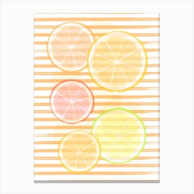 Lemons and Oranges Canvas Print