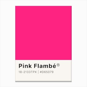 Pink Flambee Canvas Print