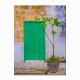 The Little Tree By The Green Door Canvas Print