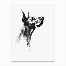 Doberman Dog Charcoal Line 3 Canvas Print