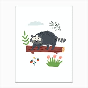 Silly Raccoon Canvas Print