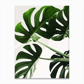 Monstera Leaves Canvas Print