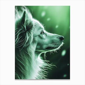 White Dog Canvas Print