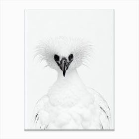 Vulture B&W Pencil Drawing 4 Bird Canvas Print