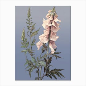 Floral Illustration Aconitum 1 Canvas Print