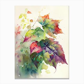 Western Poison Ivy Pop Art 2 Canvas Print