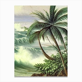 Crashing Waves Landscapes Waterscape Vintage Illustration 1 Canvas Print