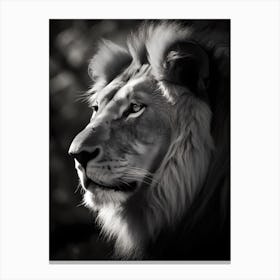 Portrait Of A Lion Canvas Print