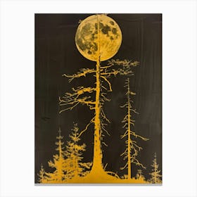 Moonlight In The Forest 5 Canvas Print