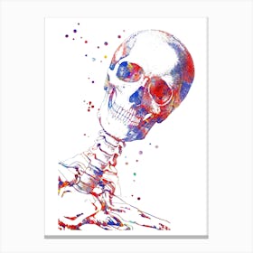 Watercolor Skull Canvas Print