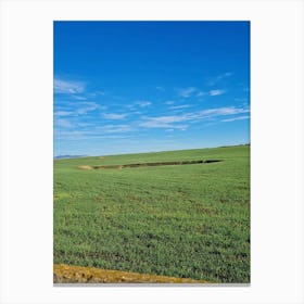 Field Of Wheat 4 Canvas Print