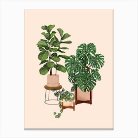 House Plants 17 Canvas Print