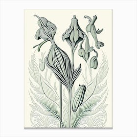 Cardamom Herb William Morris Inspired Line Drawing 1 Canvas Print
