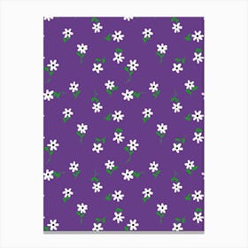 Daisy Dream Canvas Print