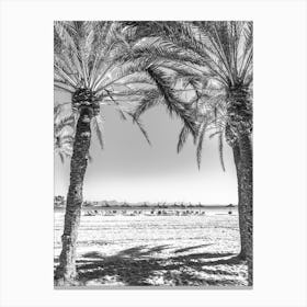 Ibiza Palm Trees On The Beach Canvas Print