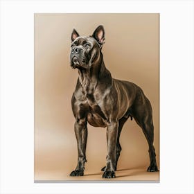 French Bulldog. Generated AI. Wall Art Print Canvas Print