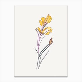 Freesia Floral Minimal Line Drawing 3 Flower Canvas Print