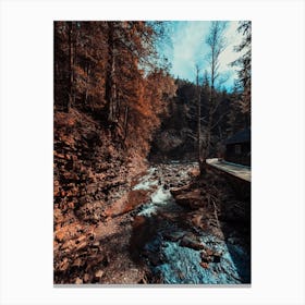 Idyllic River Through The Woods 2 Canvas Print