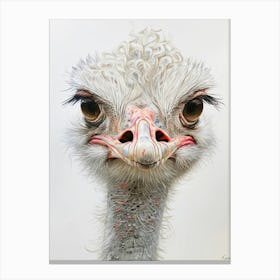 Ostrich Canvas Print