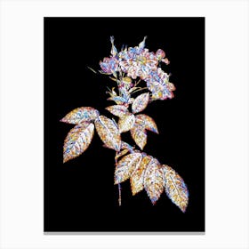 Stained Glass Boursault Rose Mosaic Botanical Illustration on Black n.0055 Canvas Print