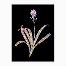 Stained Glass Spanish Bluebell Mosaic Botanical Illustration on Black n.0269 Canvas Print