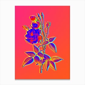 Neon Common Rose of India Botanical in Hot Pink and Electric Blue n.0611 Canvas Print