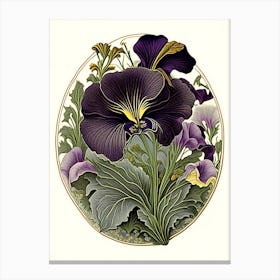 Pansy Wildflower Vintage Botanical 1 Canvas Print