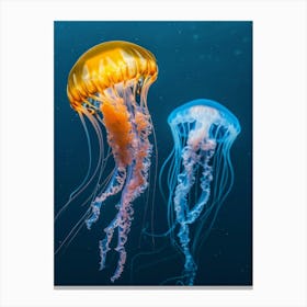 Jellyfishes 4 Canvas Print