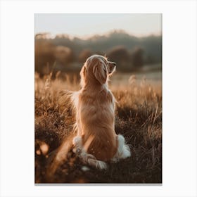 Golden Retriever Dog Sitting In Field At Sunset.Generated AI. Art Print Lienzo