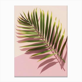 Palm Leaf On Pink Background 5 Canvas Print