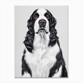 English Springer Spaniel B&W Pencil dog Canvas Print