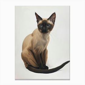 Tokinese Cat Painting 1 Canvas Print