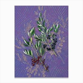 Vintage Wild Olive Botanical Illustration on Veri Peri n.0170 Canvas Print