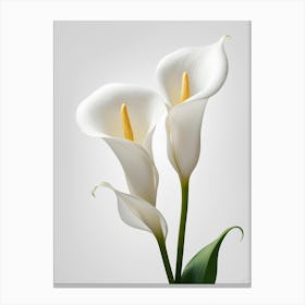 White Calla Lily 6 Canvas Print